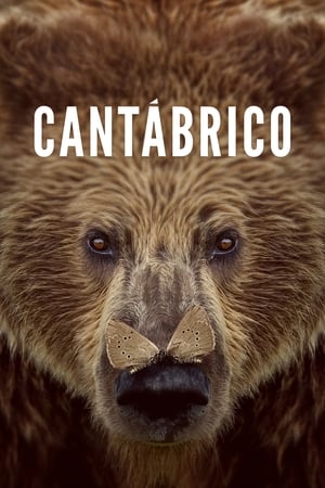 Poster Cantábrico 2017