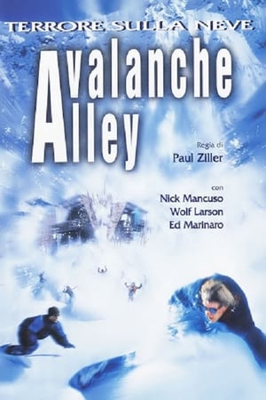 Image Avalanche Alley
