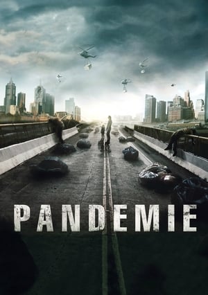 Poster Pandemie 2013