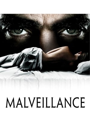 Poster Malveillance 2011