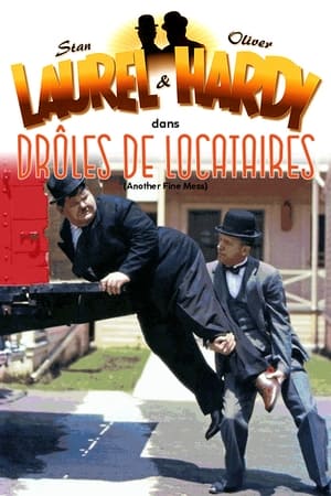 Image Laurel et Hardy - Drôles de locataires