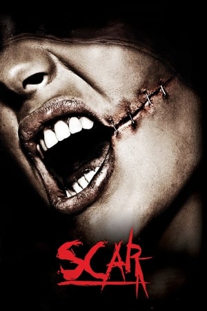 Poster Scar 2007