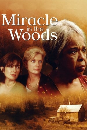 Poster Miracle in the Woods 1997