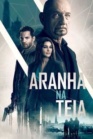 Poster Aranha na Teia 2019