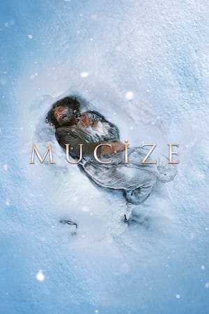 Poster Mucize 2015