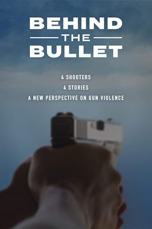 Image Behind the Bullet