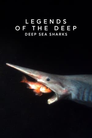 Poster Legends of the Deep: Deep Sea Sharks 2015