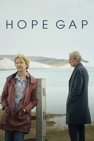 Poster Hope Gap 2019