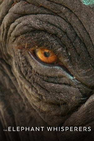 Image The Elephant Whisperers