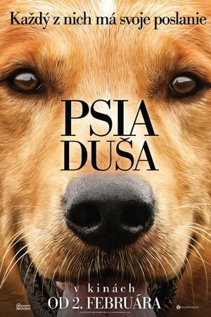 Poster Psia duša 2017