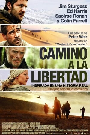 Poster Camino a la libertad 2010