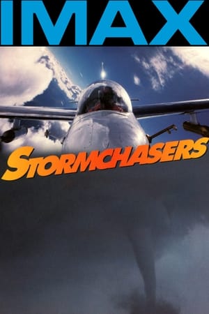 Poster Stormchasers 1995