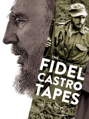 Poster The Fidel Castro Tapes 2014