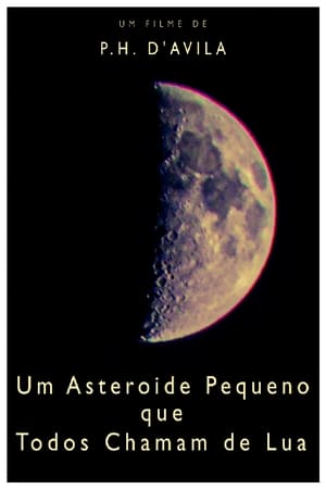 Poster A Little Asteroid Called Moon 2020
