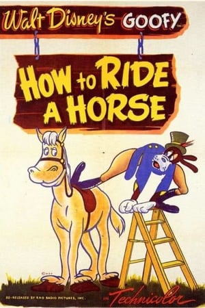 Image Come andare a cavallo