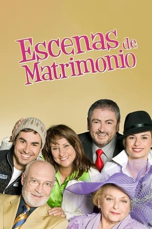 Poster Escenas de matrimonio 2007