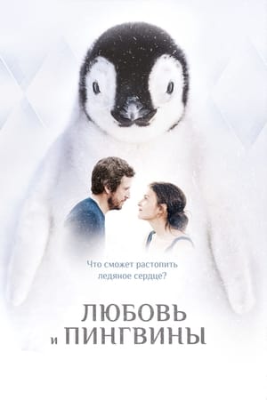Poster Любовь и пингвины 2016