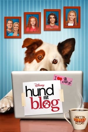 Poster Hund mit Blog Staffel 3 2014