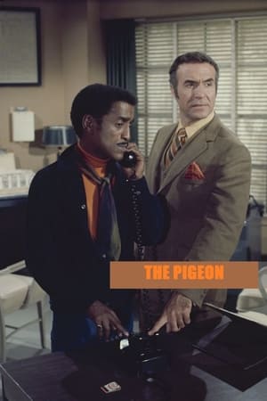 Poster The Pigeon 1969