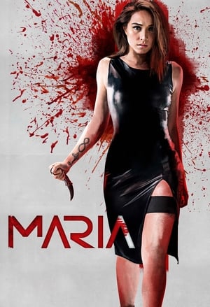 Poster Maria 2019
