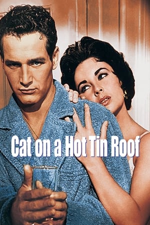 Image Cat on a Hot Tin Roof