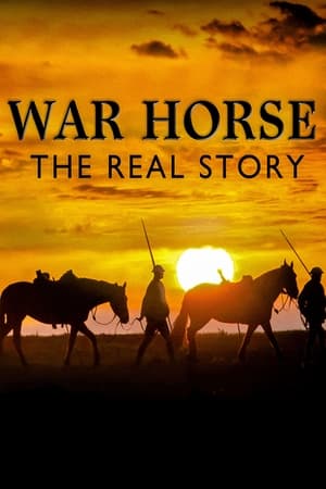 Poster War Horse The Real Story 2012