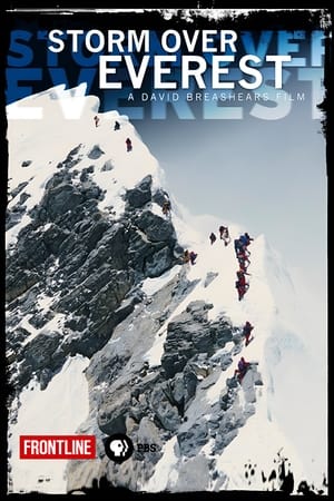 Poster Storm Over Everest 2008