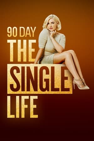 Poster 90 Day: The Single Life Season 4 Tell All Part 4 2024