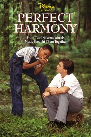 Poster Perfect Harmony 1991