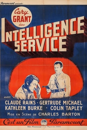 Image Intelligence Service