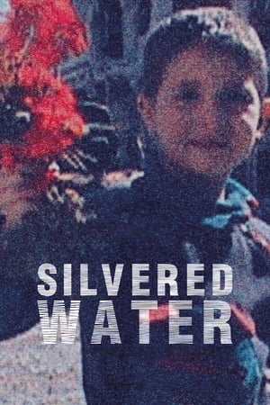 Image Silvered Water, Syria Self-Portrait