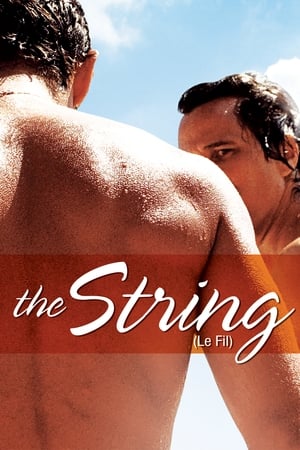 Image The String