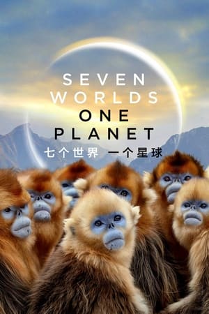 Poster 七个世界，一个星球 2019