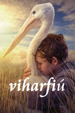 Poster Viharfiú 2019