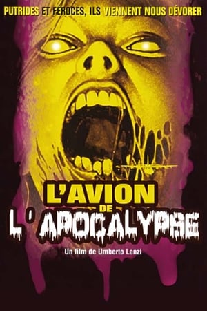 Poster L'Avion de l'apocalypse 1980
