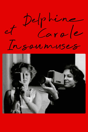 Poster Delphine et Carole, insoumuses 2020