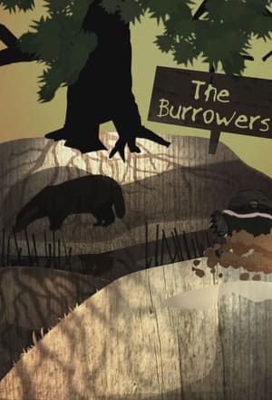 Poster The Burrowers 2013