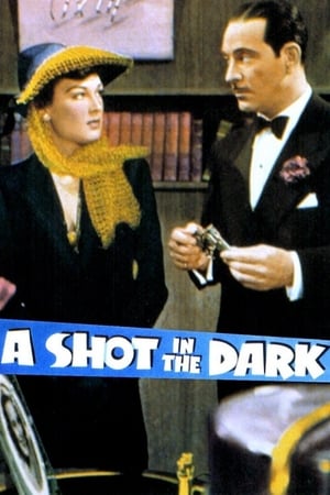 Poster A Shot in the Dark 1941