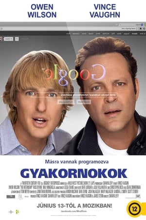 Poster Gyakornokok 2013
