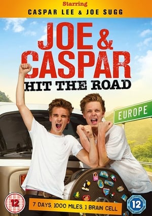 Poster Joe & Caspar Hit the Road 2015