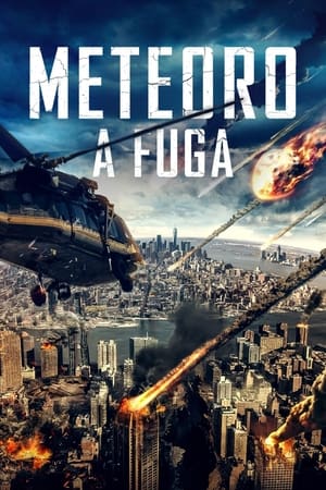 Poster Meteor 2021