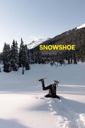 Poster Snowshoe 2021