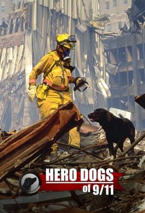 Image Hero Dogs Of 9/11