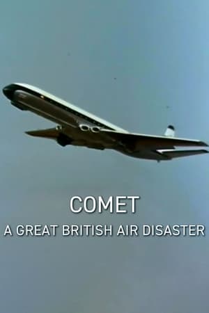 Poster Comet: A Great British Air Disaster 2013