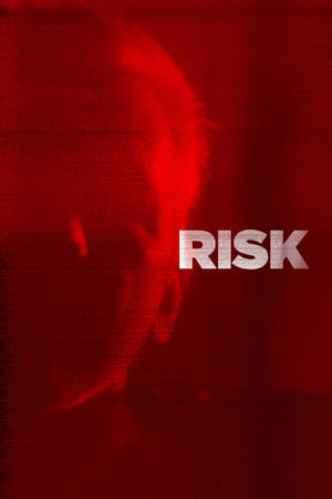Poster Risk 2017