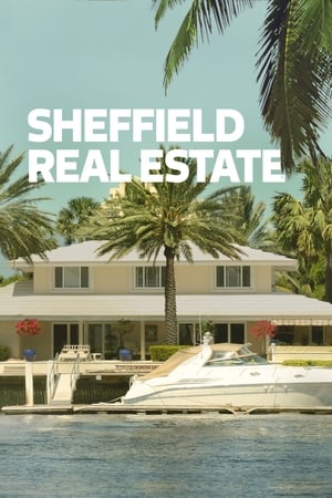 Poster Sheffield Real Estate 2017