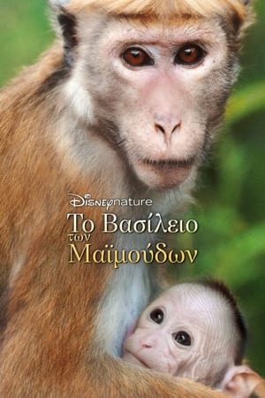 Image Το Βασίλειο των Μαϊμούδων
