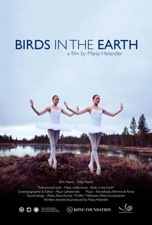 Poster Birds in the Earth 2018