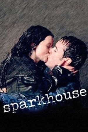 Poster Sparkhouse 2002