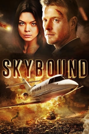 Poster Skybound 2017